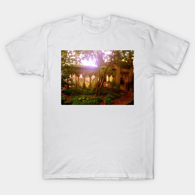 passage ritual... T-Shirt by terezadelpilar